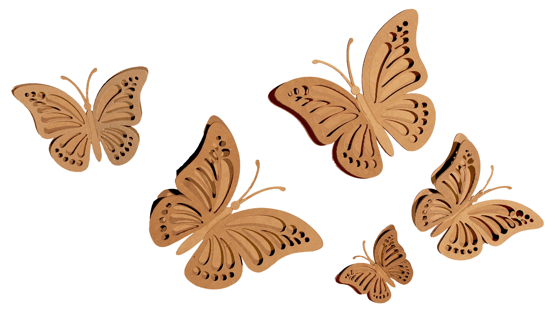 Corrugate butterflies